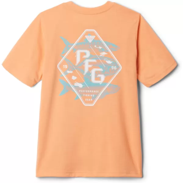 imageColumbia Boys PFG Short Sleeve Seasonal Graphic TeeBright NectarStack Em Inshore