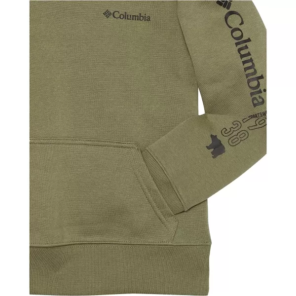 imageColumbia Kids Basin Park Graphic HoodieStone Green