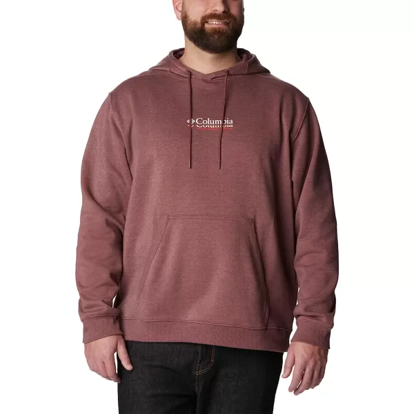 imageColumbia Mens CSC Basic Logo II Classic Hoodie Cotton BlendLight Raisin HeatherRipples Graphic