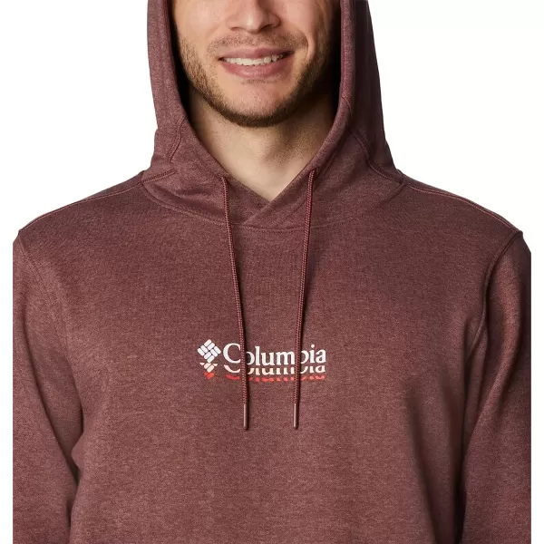 imageColumbia Mens CSC Basic Logo II Classic Hoodie Cotton BlendLight Raisin HeatherRipples Graphic