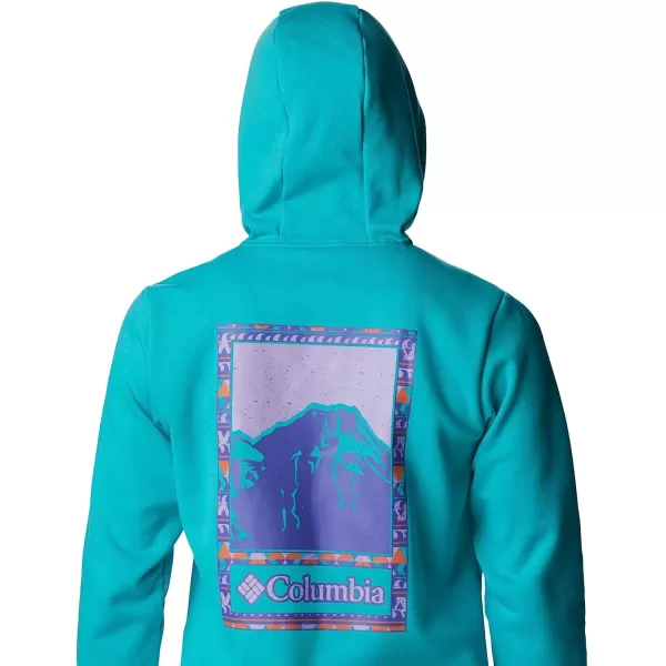imageColumbia Mens CSC Graphic HoodieBright AquaBordered Beauty