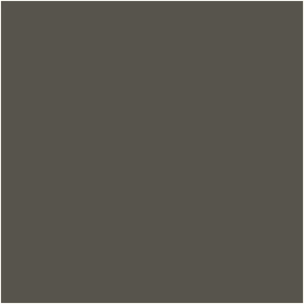 imageColumbia Mens Flow Centre SneakerDark GreyRed Jasper