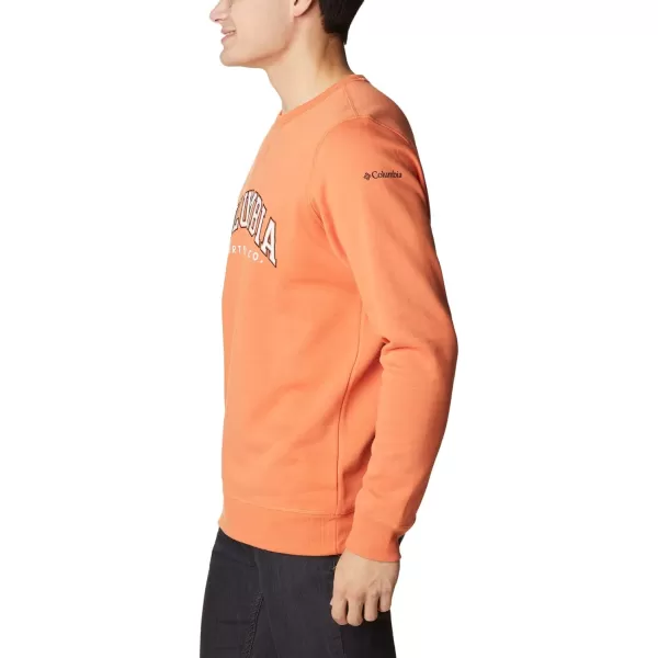 imageColumbia Mens Logo Fleece CrewDesert OrangeCsc Varsity Arch 2