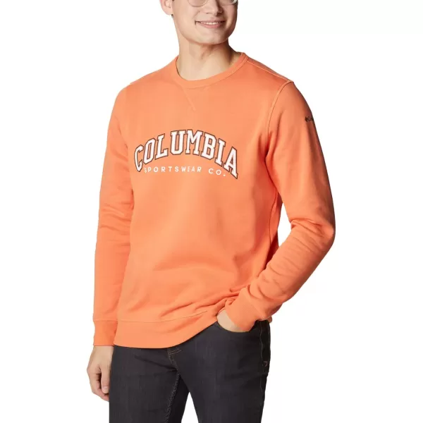 imageColumbia Mens Logo Fleece CrewDesert OrangeCsc Varsity Arch 2