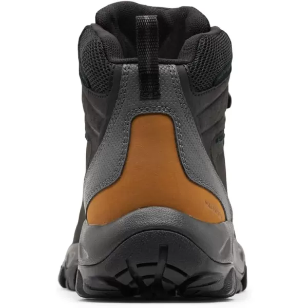 imageColumbia Mens Newton Ridge Plus Wp Hiking ShoeBlack  Shark