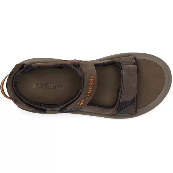 imageColumbia Mens Trailstorm Hiker 3 Strap Sport SandalCordovanGold Amber