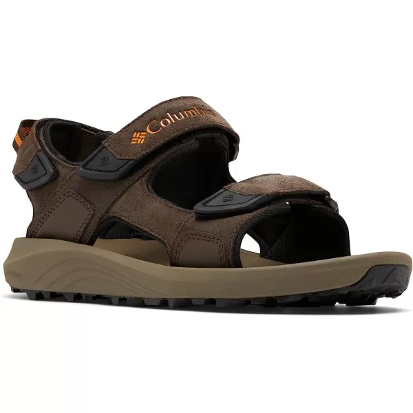 imageColumbia Mens Trailstorm Hiker 3 Strap Sport SandalCordovanGold Amber