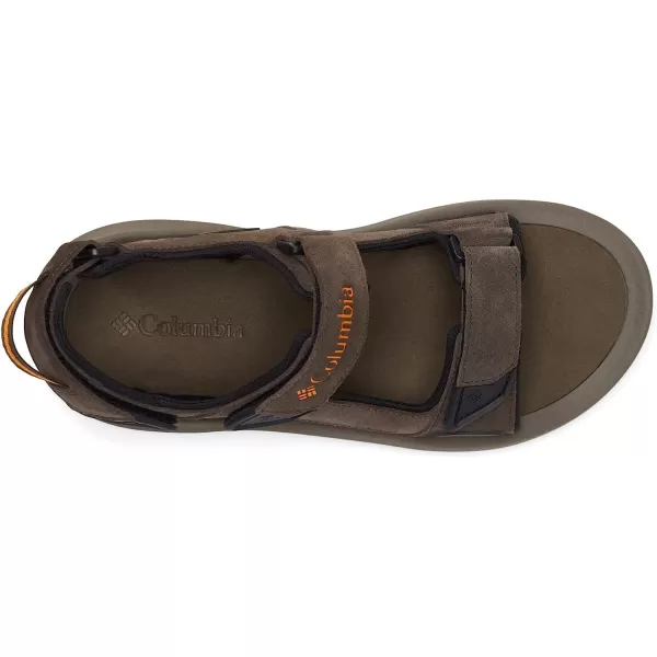 imageColumbia Mens Trailstorm Hiker 3 Strap Sport SandalCordovanGold Amber