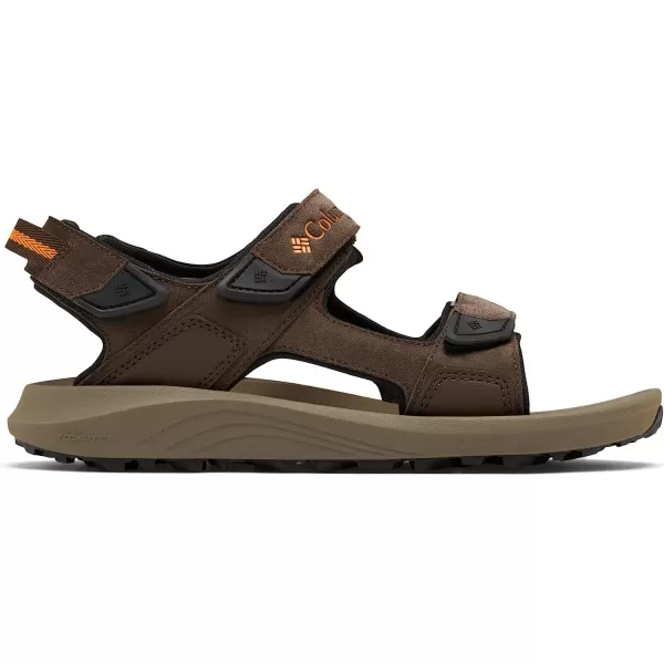 imageColumbia Mens Trailstorm Hiker 3 Strap Sport SandalCordovanGold Amber