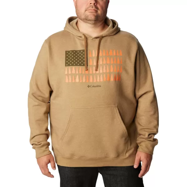 imageColumbia Mens Trek Graphic HoodieDelta HeatherTreestriped Flag