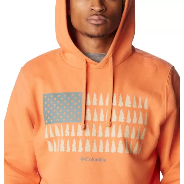 imageColumbia Mens Trek Graphic HoodieDesert OrangeTreestriped Flag