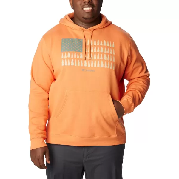 imageColumbia Mens Trek Graphic HoodieDesert OrangeTreestriped Flag