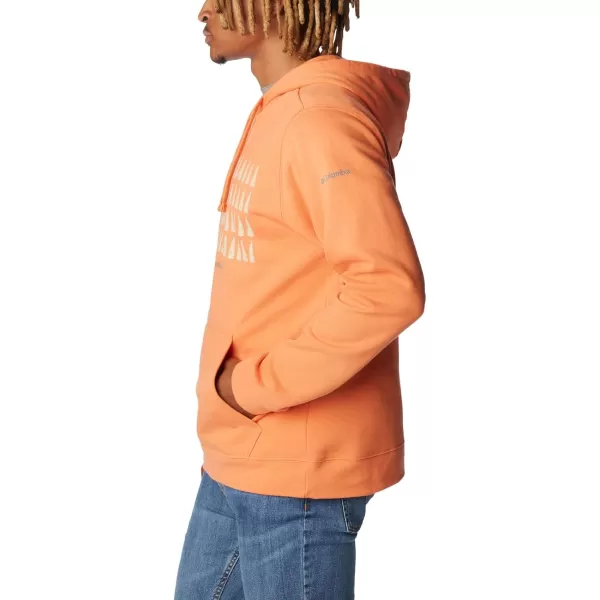 imageColumbia Mens Trek Graphic HoodieDesert OrangeTreestriped Flag