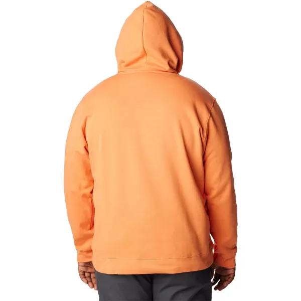 imageColumbia Mens Trek Graphic HoodieDesert OrangeTreestriped Flag