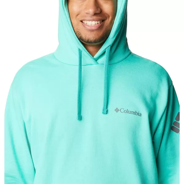 imageColumbia Mens Viewmont Ii Sleeve Graphic HoodieElectric Turquoise