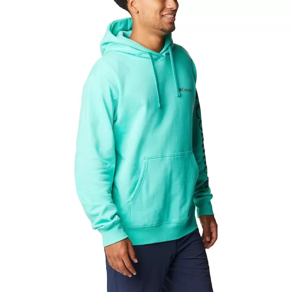 imageColumbia Mens Viewmont Ii Sleeve Graphic HoodieElectric Turquoise