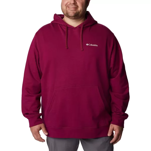 imageColumbia Mens Viewmont Ii Sleeve Graphic HoodieRed Onion