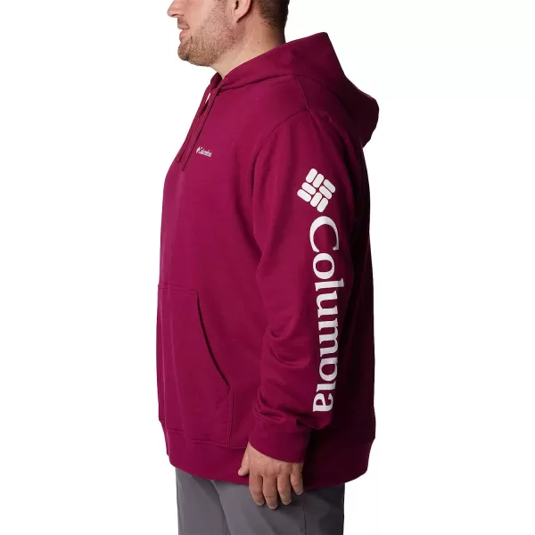 imageColumbia Mens Viewmont Ii Sleeve Graphic HoodieRed Onion