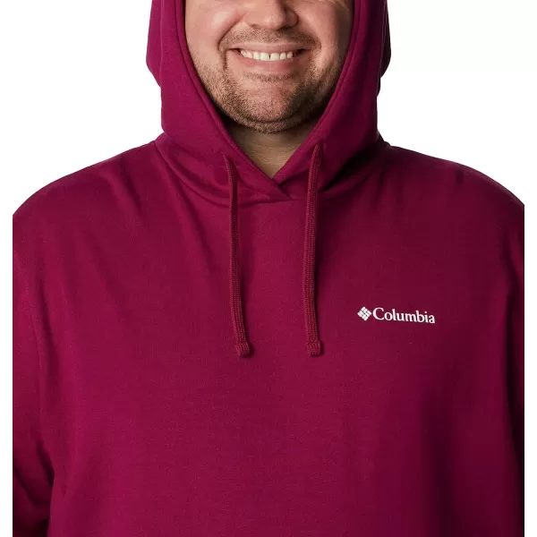 imageColumbia Mens Viewmont Ii Sleeve Graphic HoodieRed Onion