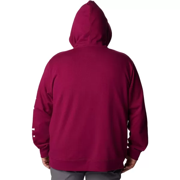 imageColumbia Mens Viewmont Ii Sleeve Graphic HoodieRed Onion