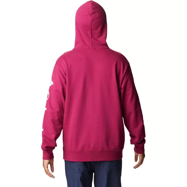 imageColumbia Mens Viewmont Ii Sleeve Graphic HoodieRed Onion