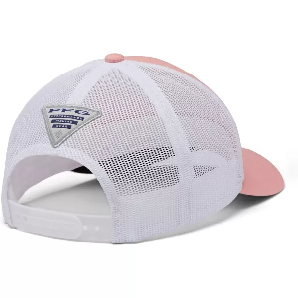 imageColumbia Tree Flag Mesh Ball CapHighSorbetBlackHook