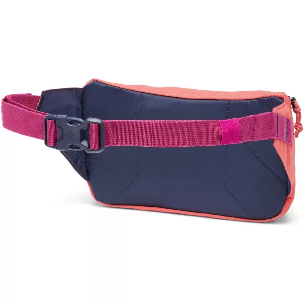 imageColumbia Unisex Zigzag Hip PackBlush PinkNocturnal