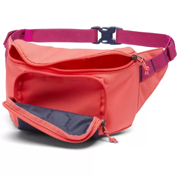 imageColumbia Unisex Zigzag Hip PackBlush PinkNocturnal