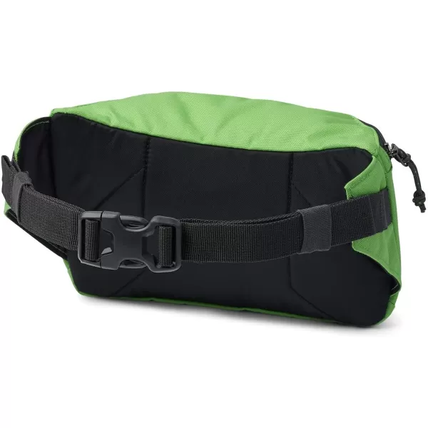 imageColumbia Unisex Zigzag Hip PackGreen BoaCity Grey