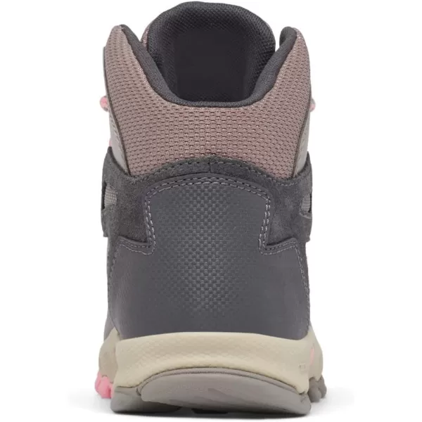 imageColumbia UnisexChild Newton Ridge Amped Hiking ShoeStratus  Pink Orchid