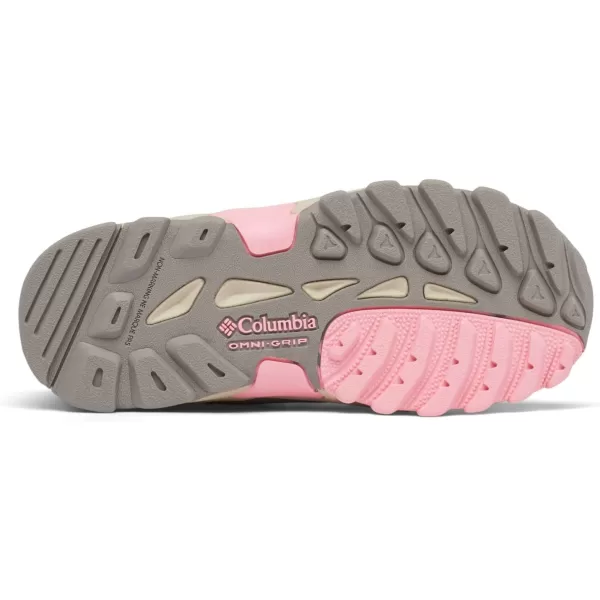 imageColumbia UnisexChild Newton Ridge Amped Hiking ShoeStratus  Pink Orchid