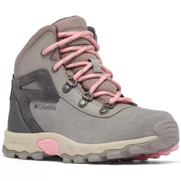 imageColumbia UnisexChild Newton Ridge Amped Hiking ShoeStratus  Pink Orchid