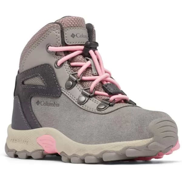 imageColumbia UnisexChild Newton Ridge Amped Hiking ShoeStratus  Pink Orchid