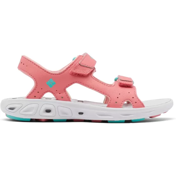 imageColumbia UnisexChild Techsun Vent Sport SandalWild SalmonDolphin