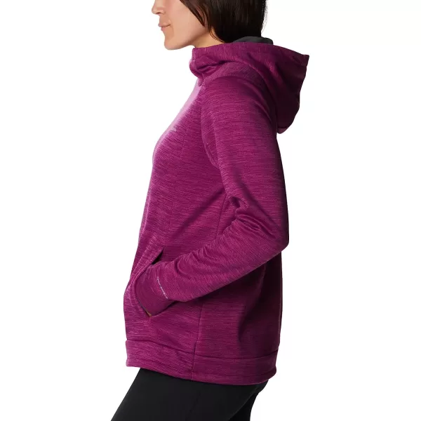 imageColumbia Womens Claudia Ridge FleeceMarionberry Heather