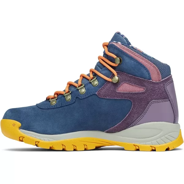 imageColumbia Womens Newton Ridge Plus Waterproof Amped Desert Night Hiking ShoeNocturnalAntique Iris