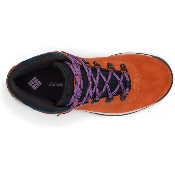 imageColumbia Womens Newton Ridge Plus Waterproof Amped Hiking BootCedar  Nightwave