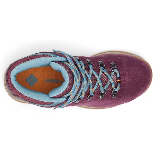 imageColumbia Womens Newton Ridge Plus Waterproof Amped Hiking BootEpic Plum  Storm