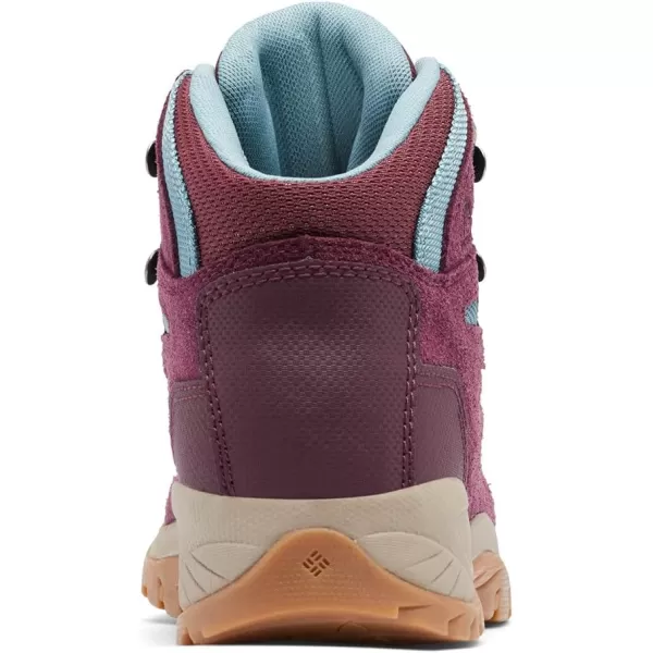 imageColumbia Womens Newton Ridge Plus Waterproof Amped Hiking BootEpic Plum  Storm