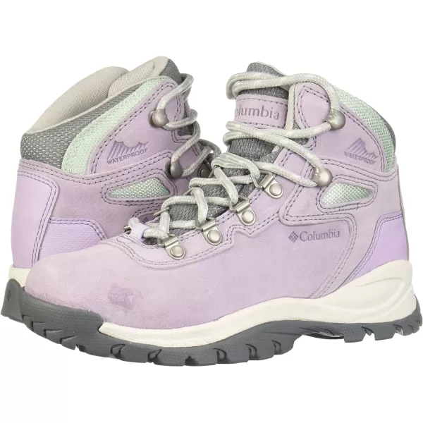 imageColumbia Womens Newton Ridge Plus Waterproof Amped Hiking BootMorning Mist  Nimbus Grey