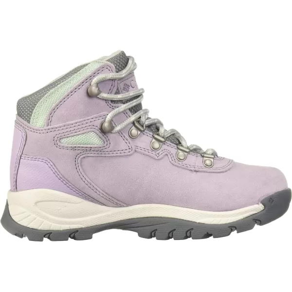imageColumbia Womens Newton Ridge Plus Waterproof Amped Hiking BootMorning Mist  Nimbus Grey