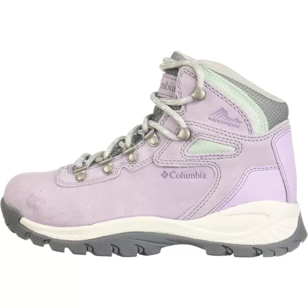imageColumbia Womens Newton Ridge Plus Waterproof Amped Hiking BootMorning Mist  Nimbus Grey