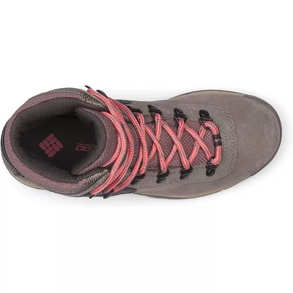 imageColumbia Womens Newton Ridge Plus Waterproof Amped Hiking BootStratus  Canyon Rose