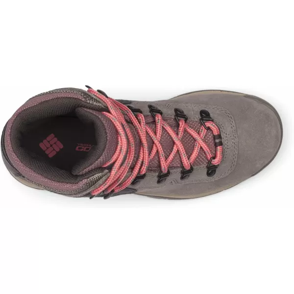imageColumbia Womens Newton Ridge Plus Waterproof Amped Hiking BootStratus  Canyon Rose