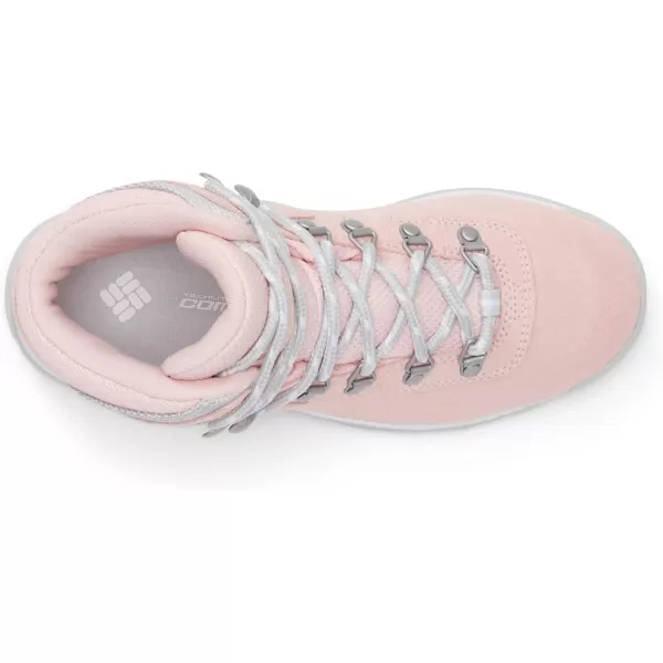 imageColumbia Womens Newton Ridge Plus Waterproof Amped Hiking BootVintage Pink  Nimbus Grey