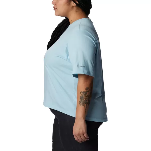 imageColumbia Womens North Cascades Relaxed TeeSpring BlueGem Wisterian