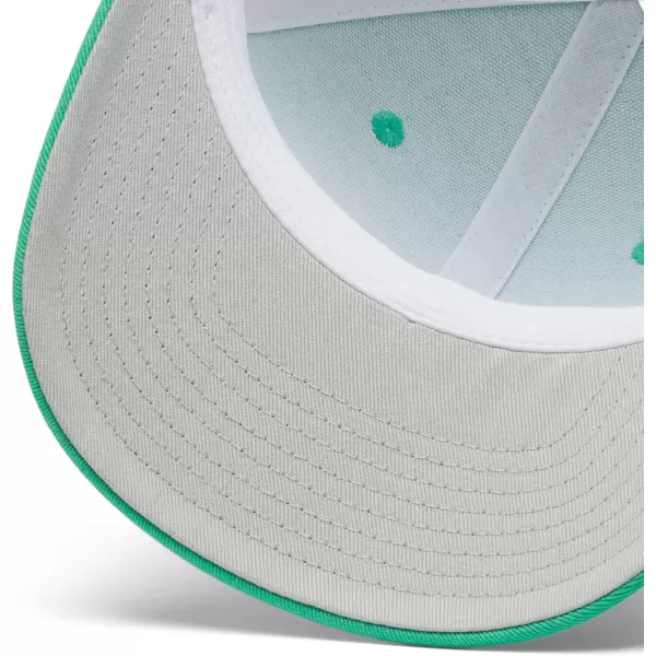 imageColumbia Womens PFG Logo Mesh Ball CapHigh CrownElectric Turquoise Cool Grey Hook