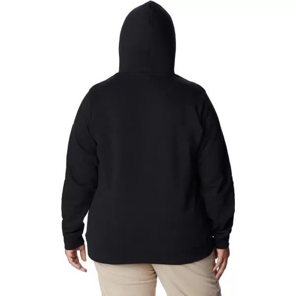 imageColumbia Womens Trek Graphic HoodieBlackCsc Collegiate