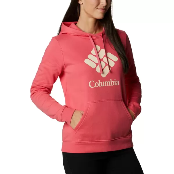 imageColumbia Womens Trek Graphic HoodieBright GeraniumStacked Gem