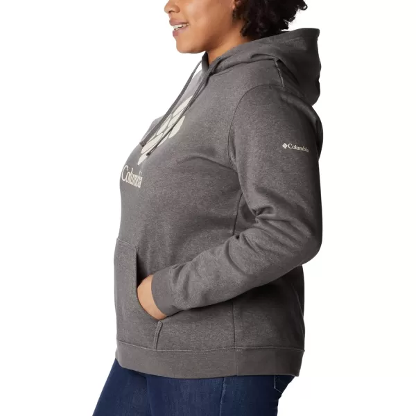 imageColumbia Womens Trek Graphic HoodieCharcoal HeatherStacked Gem